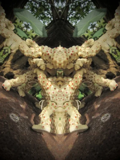 Œuvre de Gérard Delandas